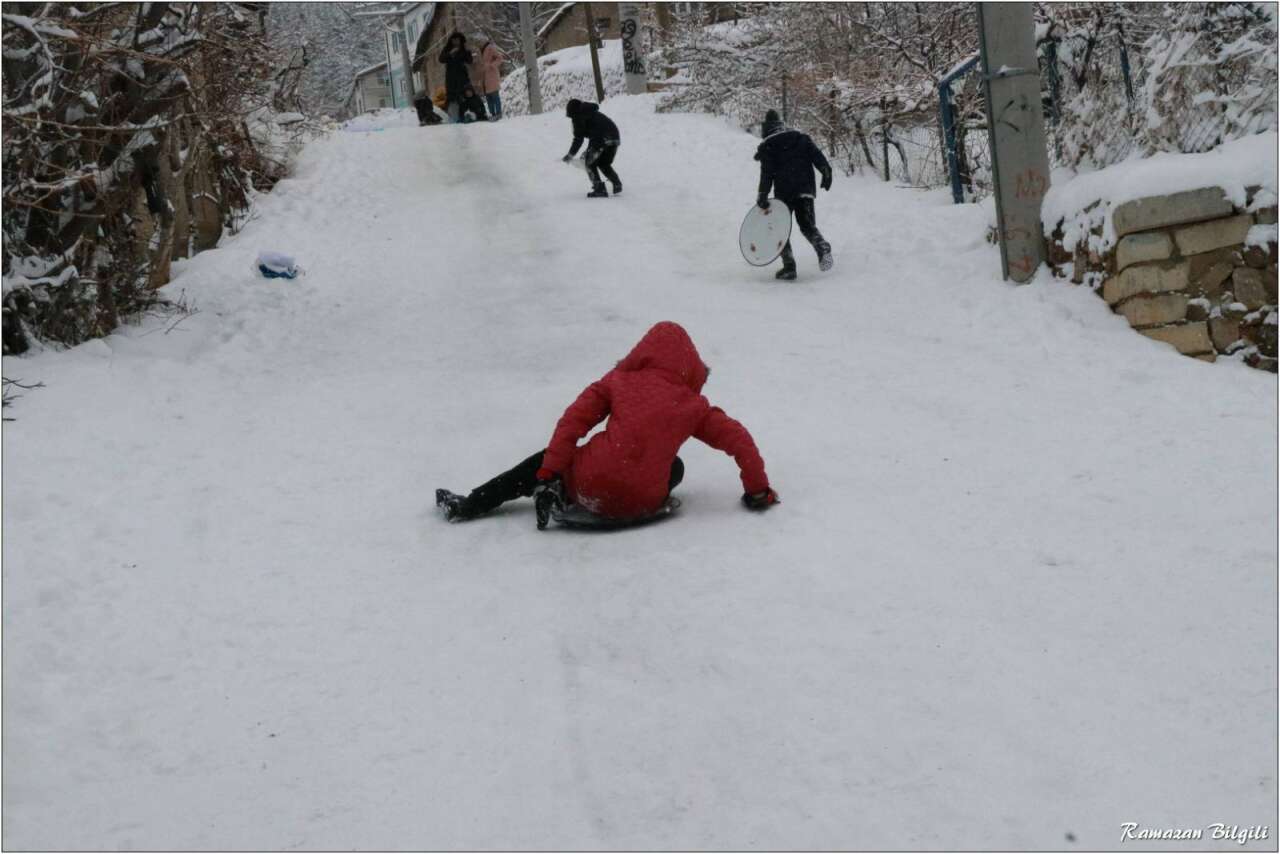 Konya’da hasret bitti, siniyi kapan sokağa çıktı 9